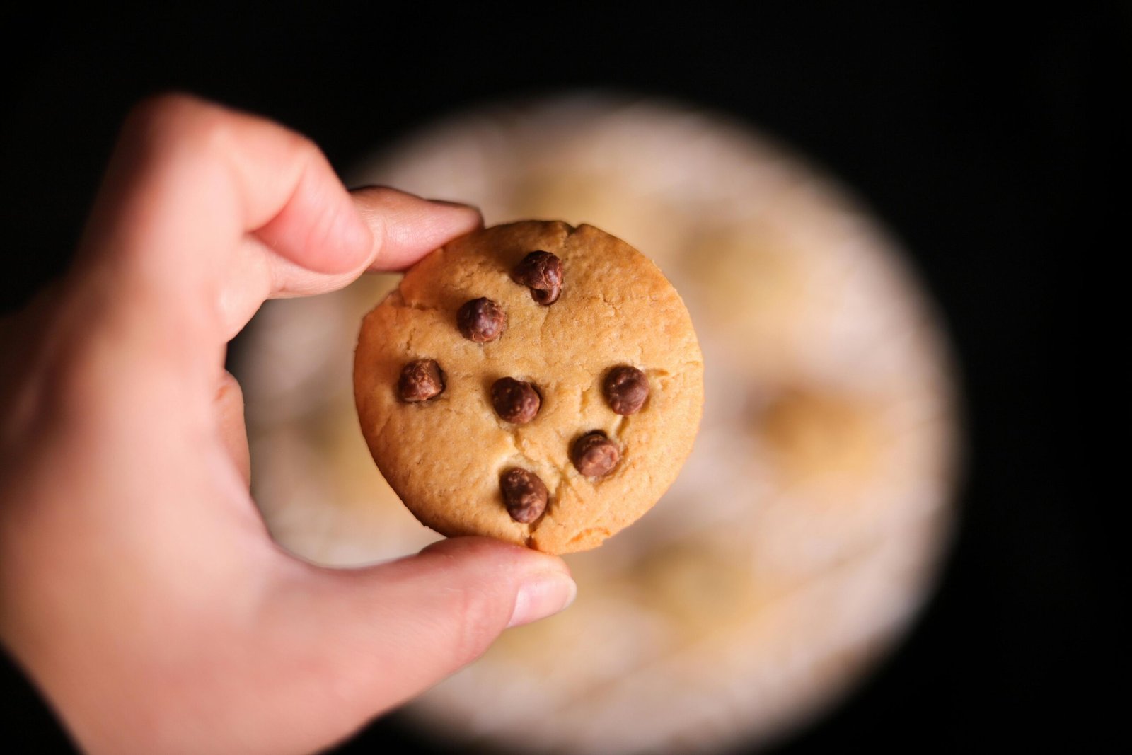 Cookie Policy page image for The Quick Guys Roofing and Exterior Services
