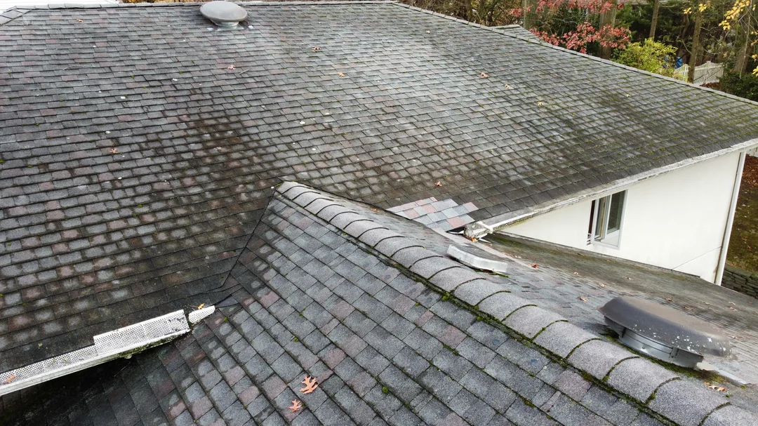 Roofing Contractor