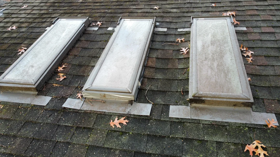 Roofing Contractor