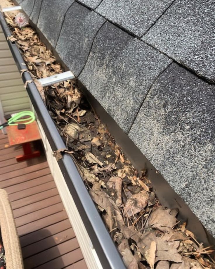 Gutter Cleaning