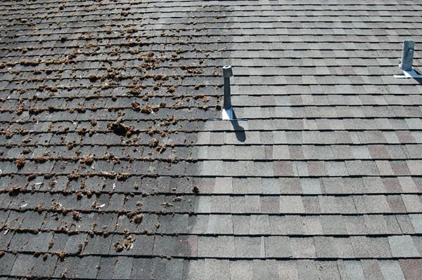 Cleaning shingles