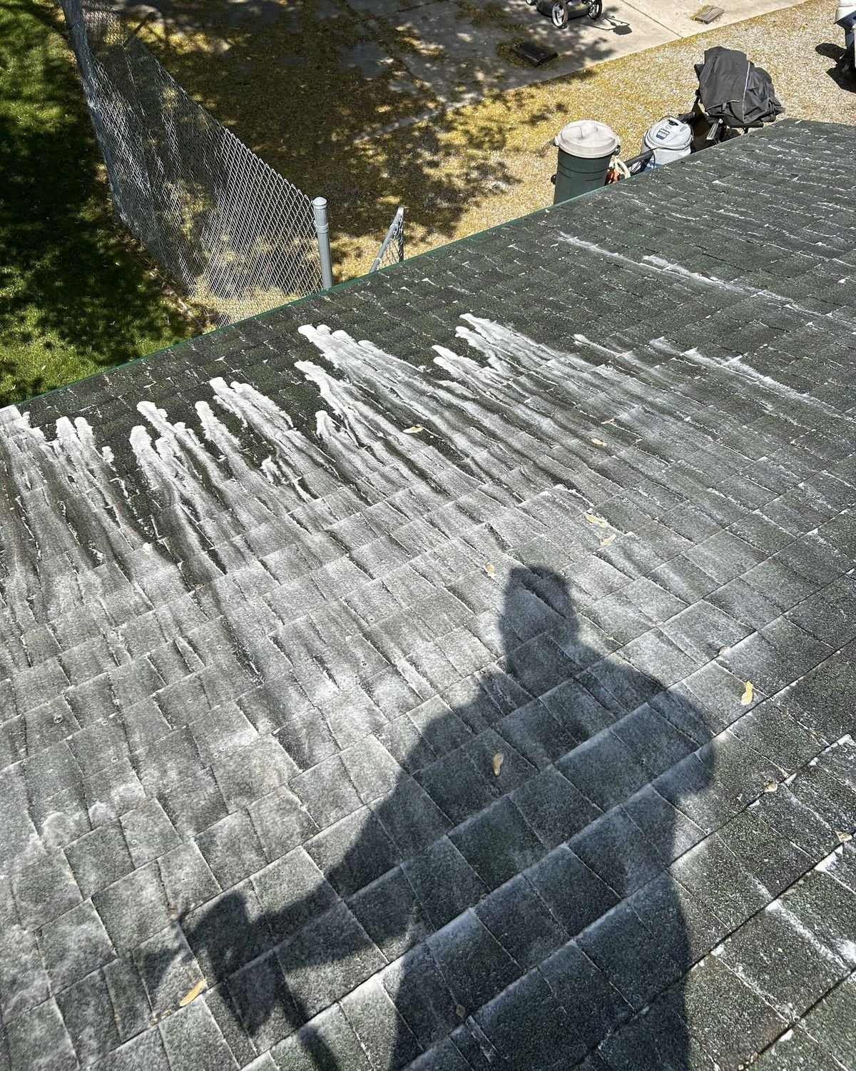 Washing Shingle