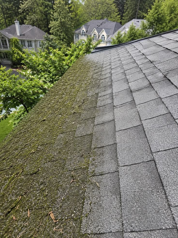 Cleaning Roof